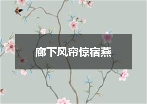 廊下风帘惊宿燕