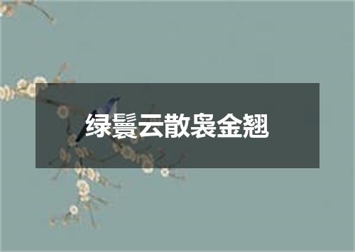 绿鬟云散袅金翘