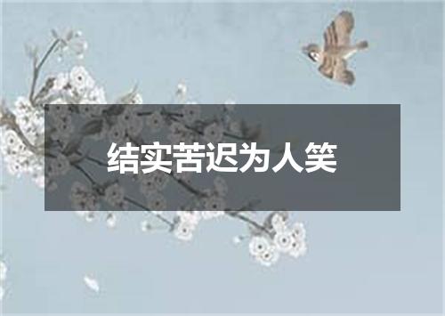 结实苦迟为人笑