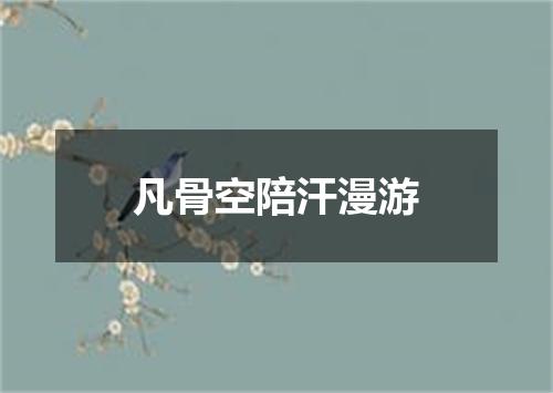凡骨空陪汗漫游