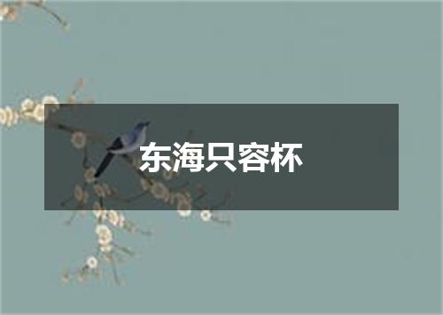 东海只容杯