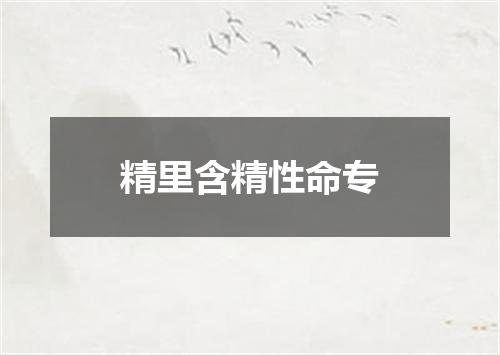 精里含精性命专