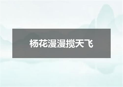 杨花漫漫搅天飞