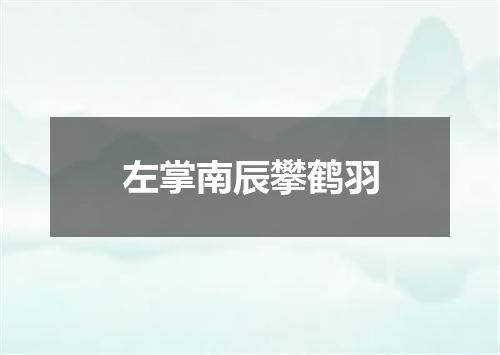 左掌南辰攀鹤羽