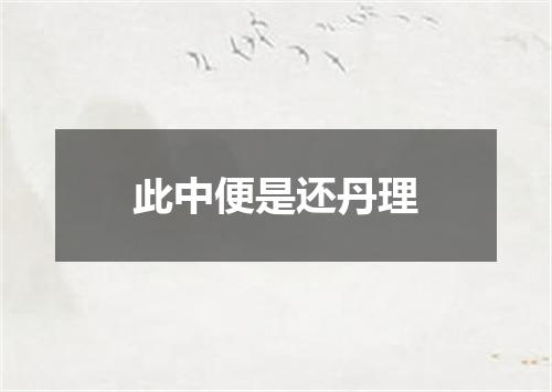 此中便是还丹理