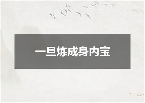 一旦炼成身内宝