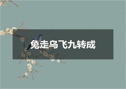 兔走乌飞九转成