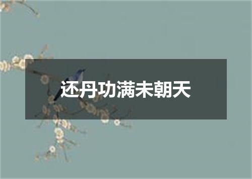 还丹功满未朝天