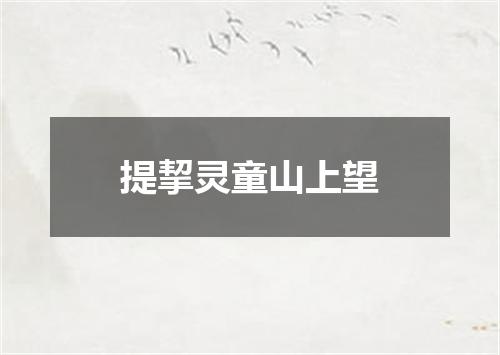 提挈灵童山上望