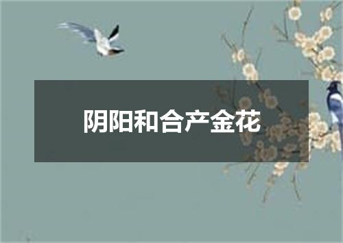 阴阳和合产金花
