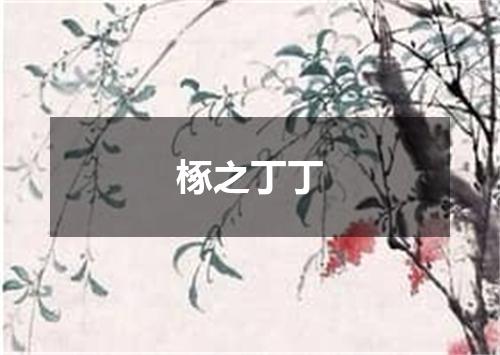 椓之丁丁