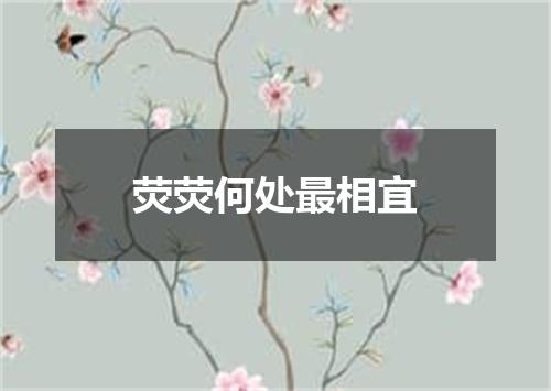 荧荧何处最相宜