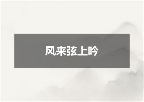 风来弦上吟