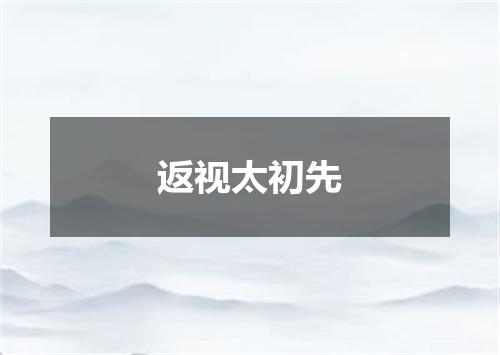 返视太初先
