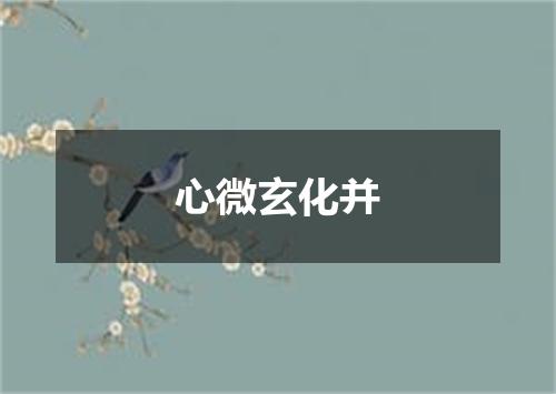 心微玄化并