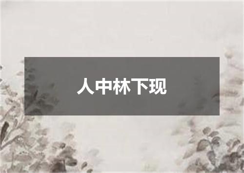 人中林下现