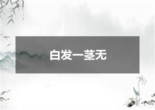 白发一茎无