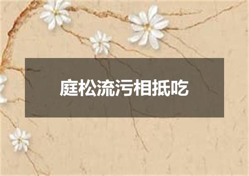 庭松流污相抵吃