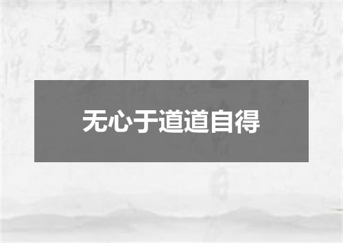 无心于道道自得