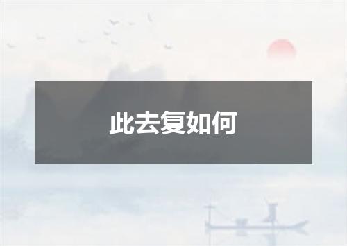 此去复如何
