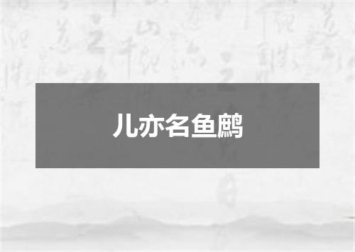儿亦名鱼鹧