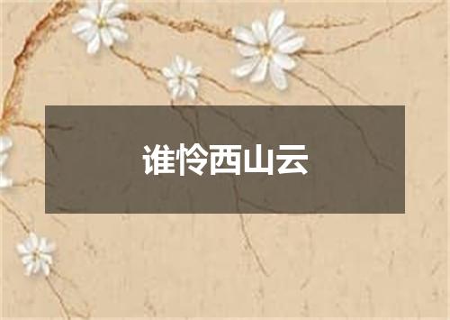 谁怜西山云