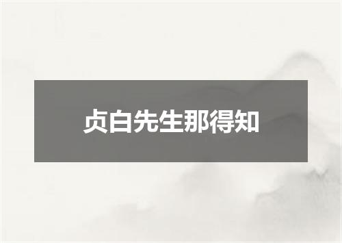 贞白先生那得知