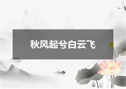 秋风起兮白云飞