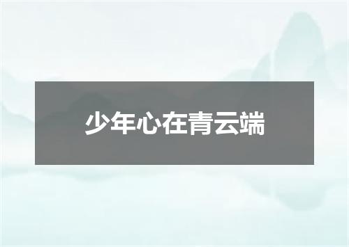少年心在青云端
