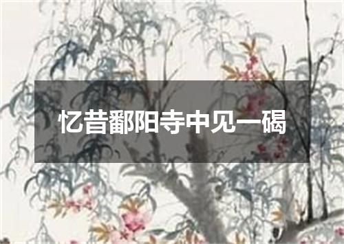 忆昔鄱阳寺中见一碣