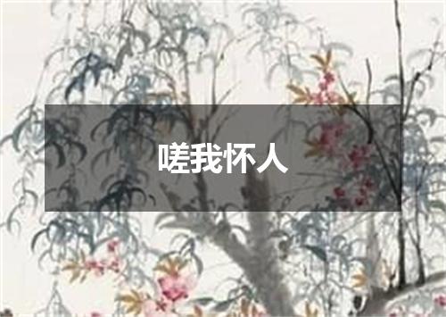 嗟我怀人