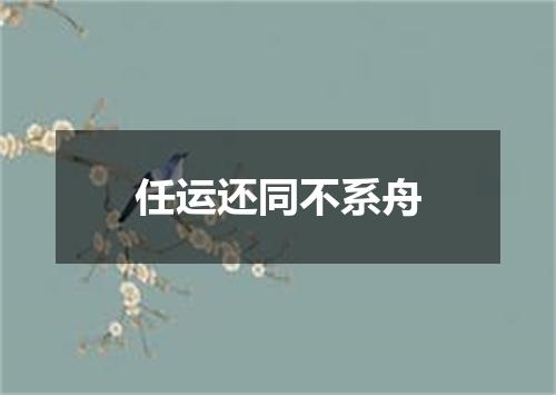任运还同不系舟