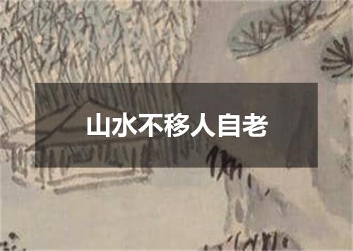 山水不移人自老
