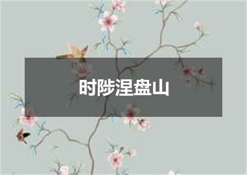 时陟涅盘山