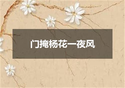 门掩杨花一夜风