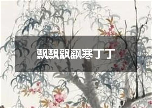 飘飘飖飖寒丁丁
