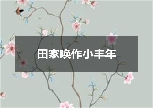 田家唤作小丰年