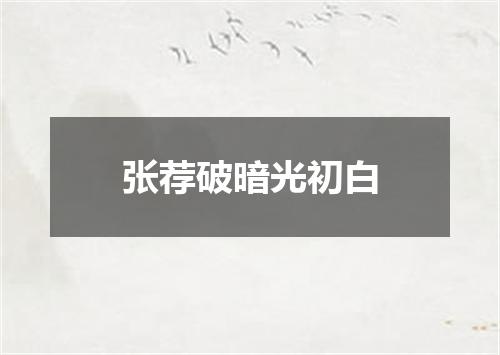 张荐破暗光初白