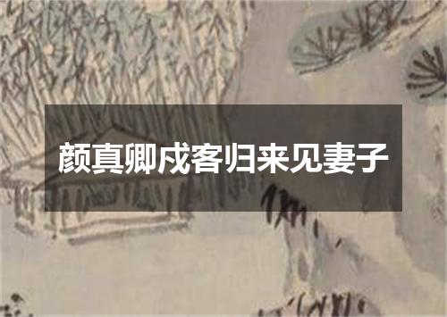 颜真卿戍客归来见妻子