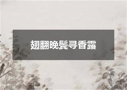 翅翻晚鬓寻香露