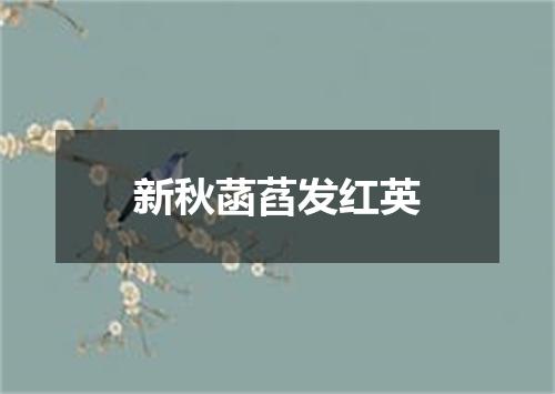 新秋菡萏发红英