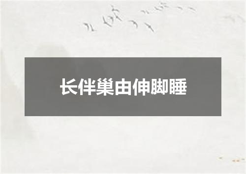 长伴巢由伸脚睡