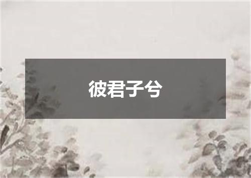 彼君子兮