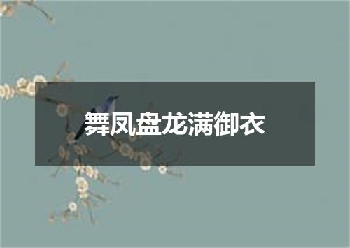 舞凤盘龙满御衣
