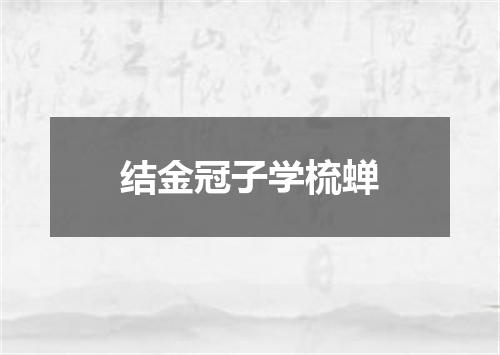 结金冠子学梳蝉