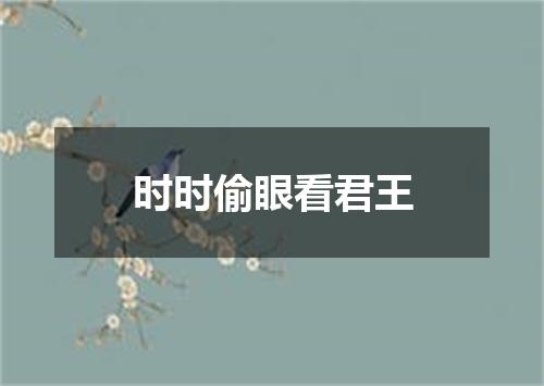 时时偷眼看君王