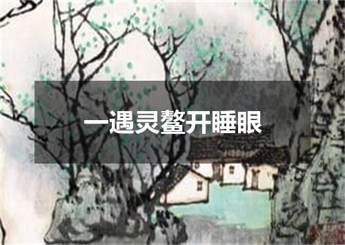 一遇灵鳌开睡眼