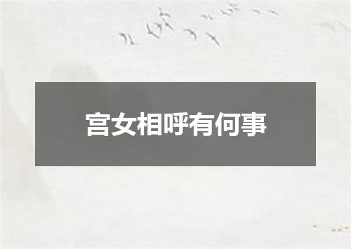 宫女相呼有何事