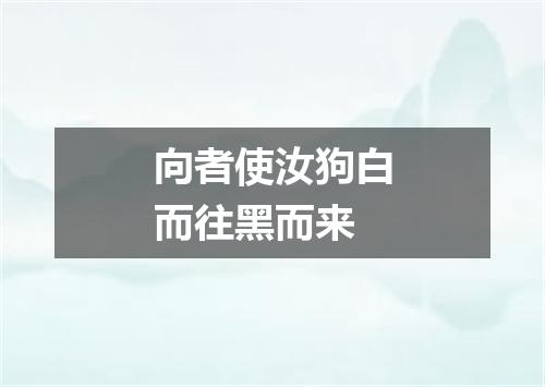 向者使汝狗白而往黑而来