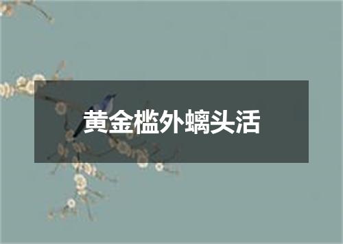 黄金槛外螭头活